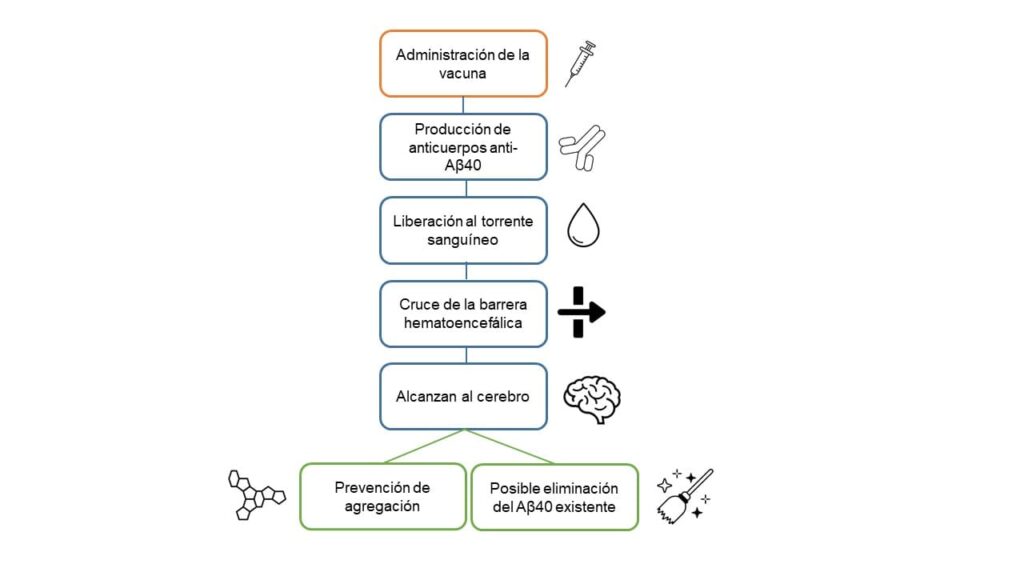 mecanismo de acción de ABvac